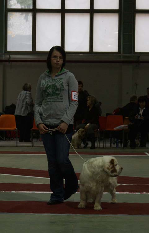 1_JuniorClassMales_SugarLoaf_Trastevere_b