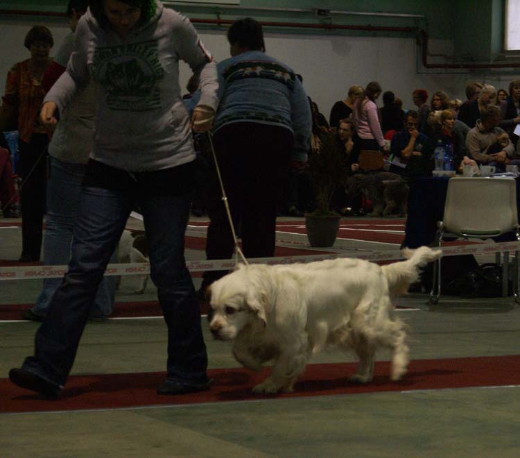 1_JuniorClassMales_SugarLoaf_Trastevere_d