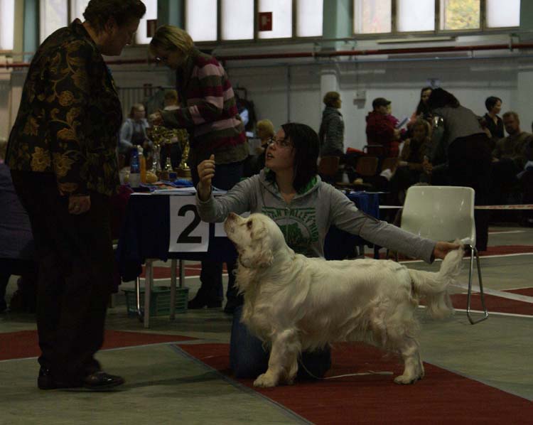 1_JuniorClassMales_SugarLoaf_Trastevere_e