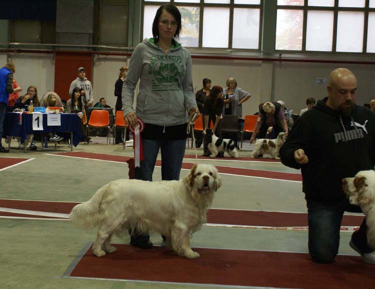 1_JuniorClassMales_SugarLoaf_Trastevere_f