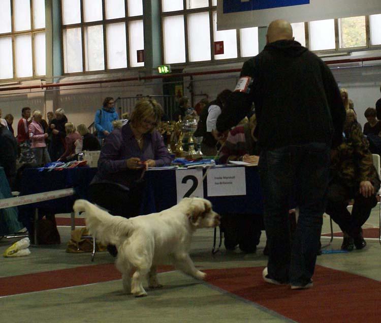 1_JuniorClassMales_Vellu