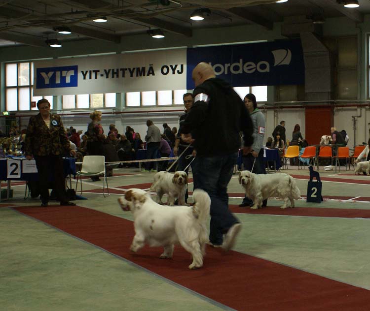 1_JuniorClassMales_Vellu_Hupi_SL_Trastevere_c