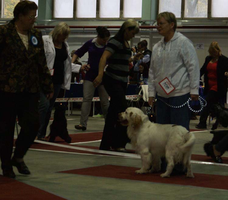 2_IntermediateClassMales_Aquatass_Icebear