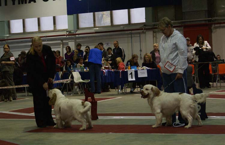 2_IntermediateClassMales_Eddie_Aquatass_Icebear