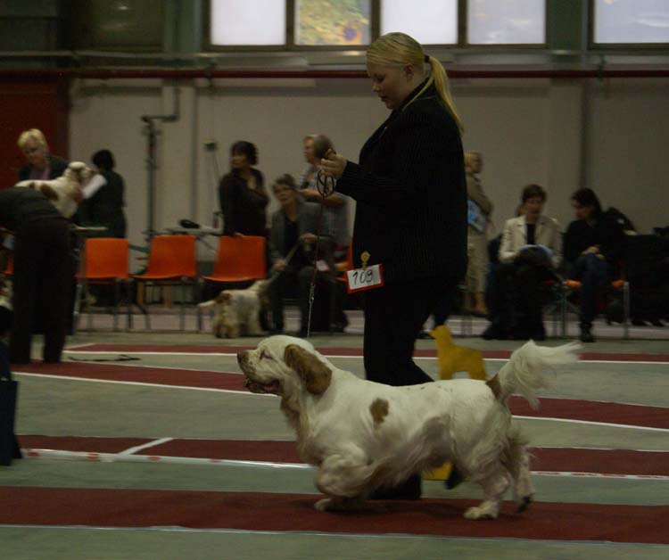 2_IntermediateClassMales_Eddie_c