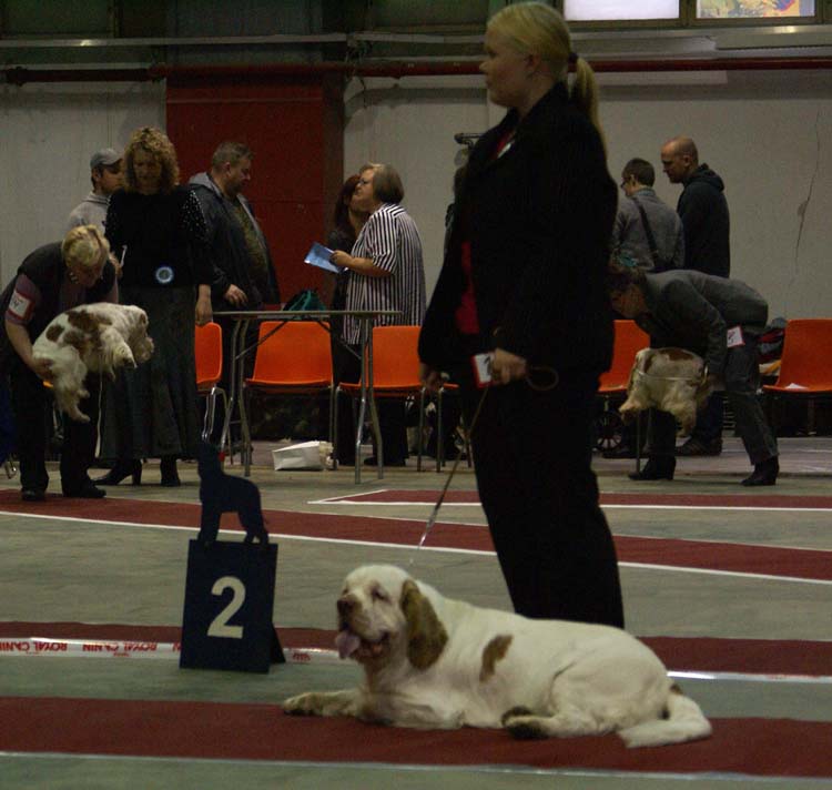 2_IntermediateClassMales_Eddie_e