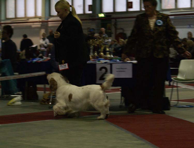 2_IntermediateClassMales_Eddie_f