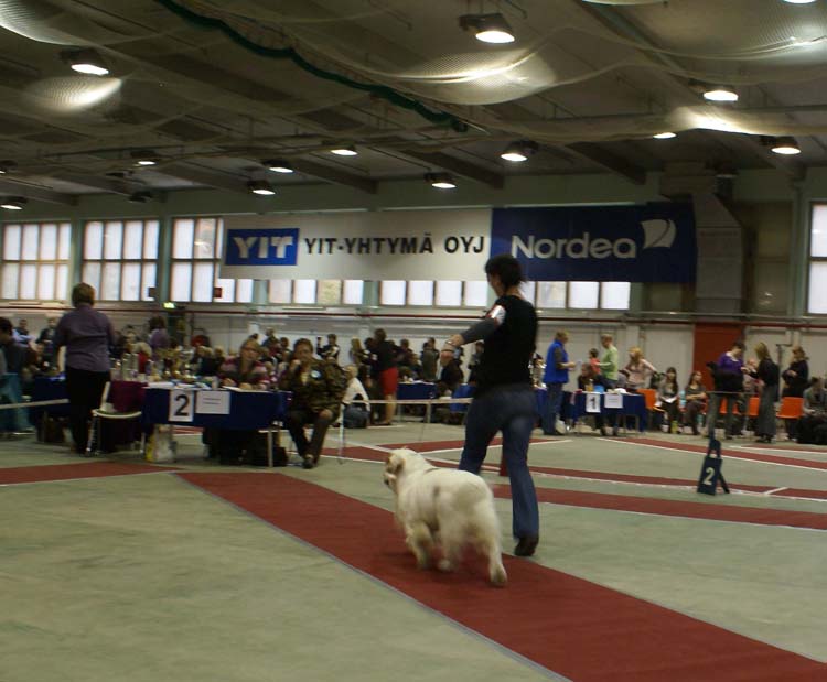 4_ChampionClassMales_Rocky_c