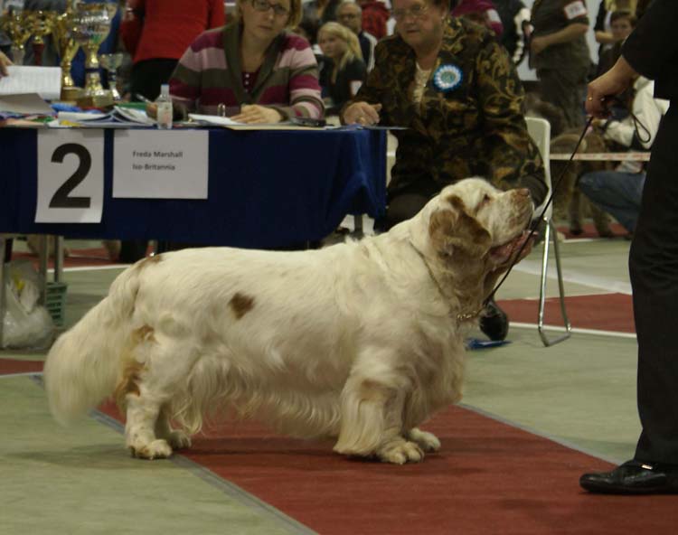 4_ChampionClassMales_Snow_d