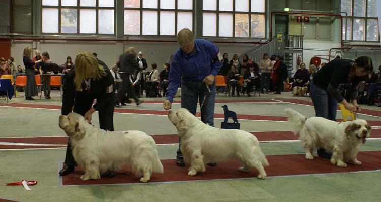 4_ChampionClassMales_Vito_Reno_Rocky