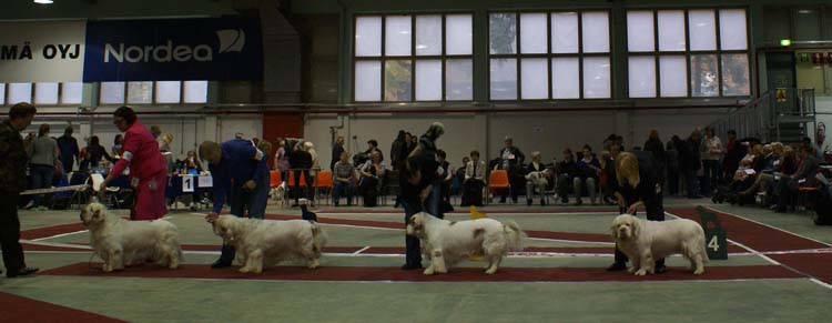 4_ChampionClassMales_Vito_Snow_Rocky_Reno