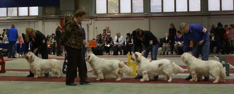 4_ChampionClassMales_Vito_Snow_Rocky_Reno_b