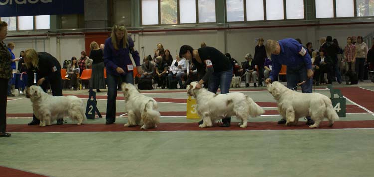 4_ChampionClassMales_Vito_Snow_Rocky_Reno_c