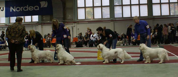 4_ChampionClassMales_Vito_Snow_Rocky_Reno_d