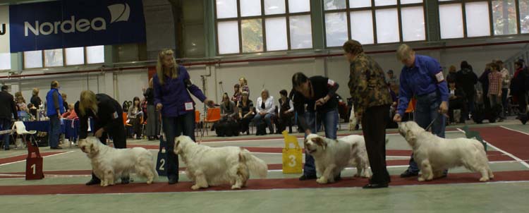 4_ChampionClassMales_Vito_Snow_Rocky_Reno_e