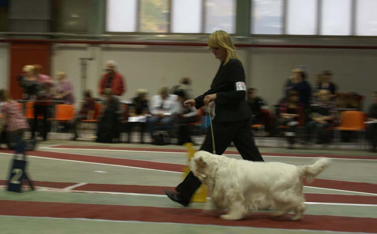 5_VeteranClassMales_Speedy_d