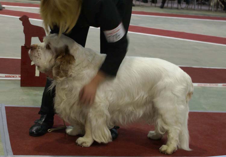 5_VeteranClassMales_Speedy_f