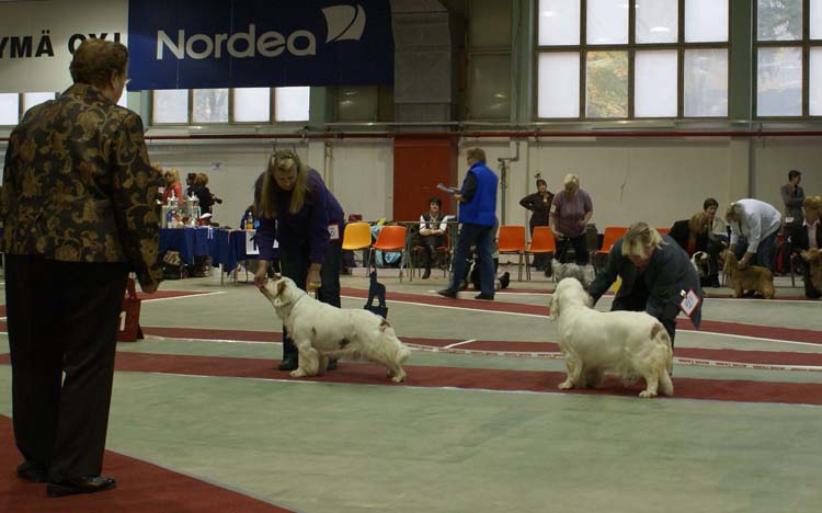 8_IntermediateClassBitches_Ella_Hilla