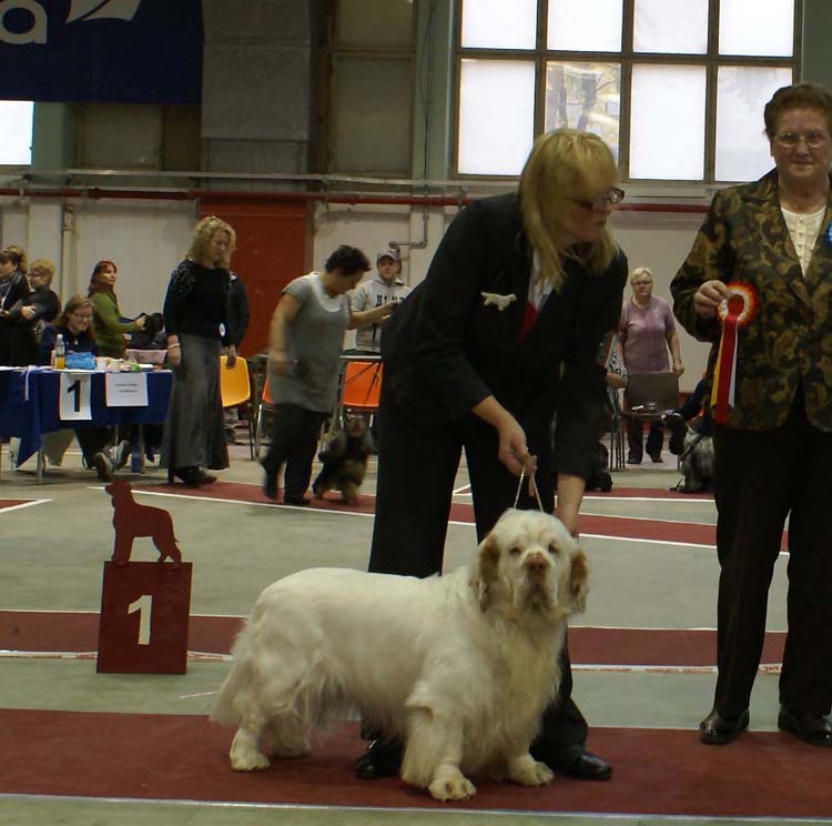 9_Best_of_Breed_Vito_b