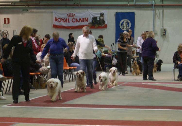 BIS2_Breeders_Group_d