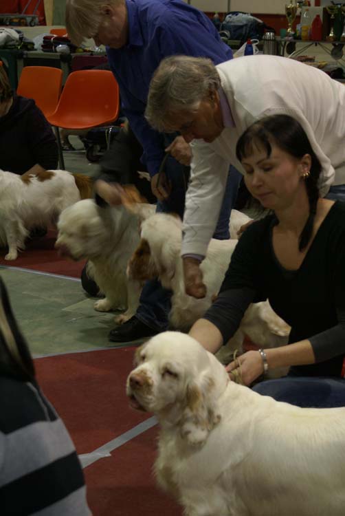 BIS2_Breeders_Group_f