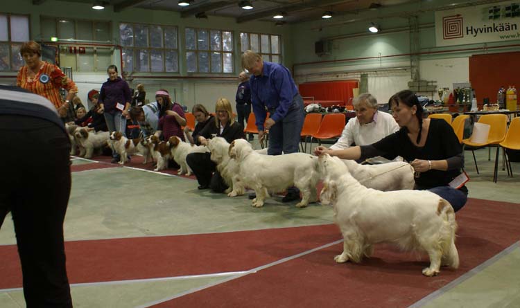 BIS2_Breeders_Group_g