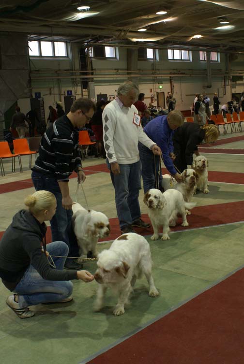 BIS3_ProgenyGroup_Reno