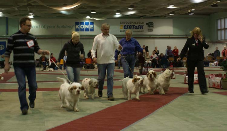 BIS3_ProgenyGroup_Reno_b