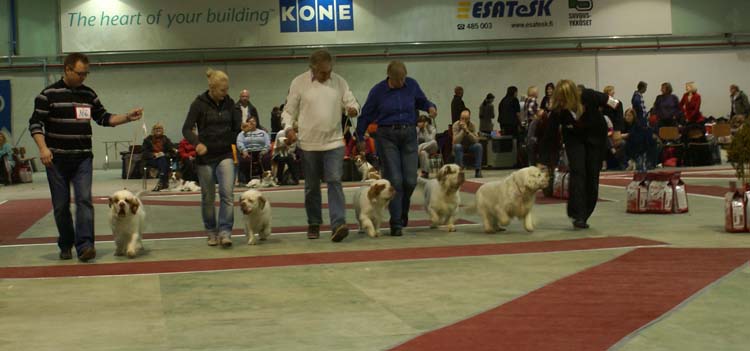 BIS3_ProgenyGroup_Reno_c