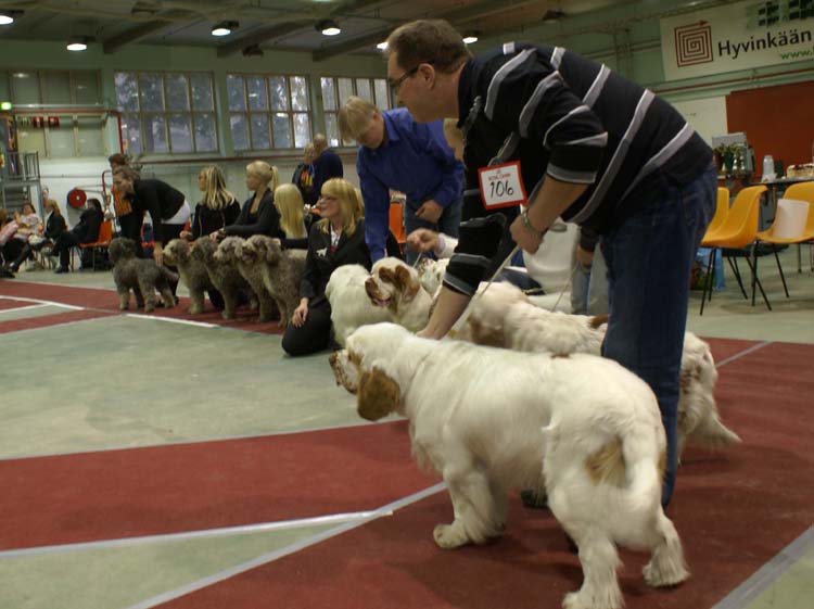 BIS3_ProgenyGroup_Reno_e