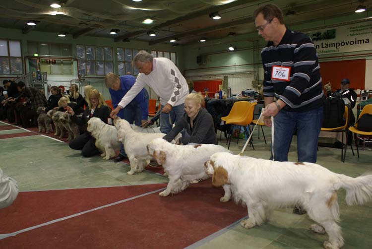 BIS3_ProgenyGroup_Reno_g