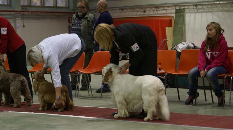 BIS3_Veteran_Speedy_a