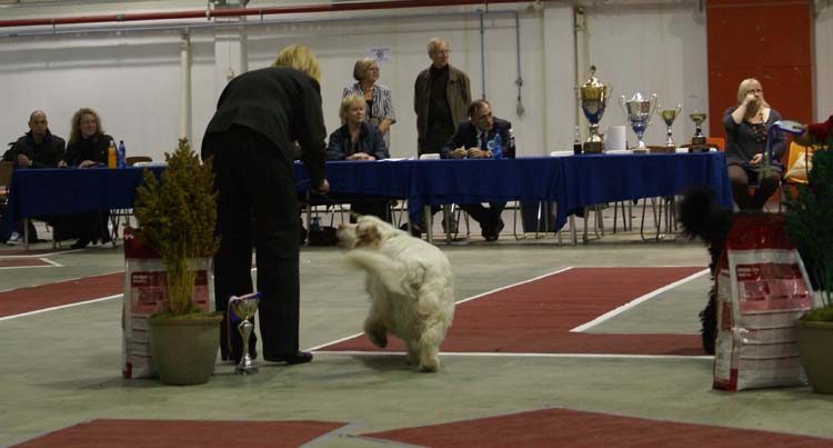 BIS3_Veteran_Speedy_c