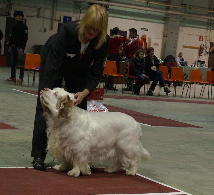 BIS3_Veteran_Speedy_d