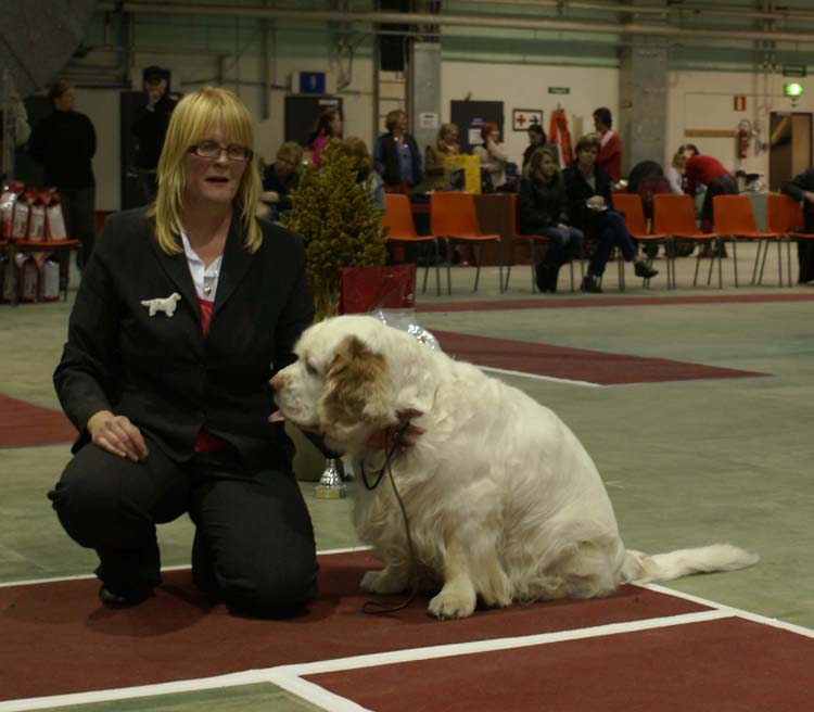 BIS3_Veteran_Speedy_e