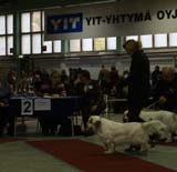 1_JuniorClassMales_Buhwu_b