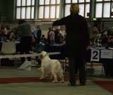 1_JuniorClassMales_Buhwu_d