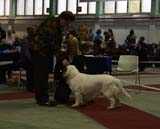 1_JuniorClassMales_Napo