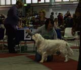 1_JuniorClassMales_SLTrastevere