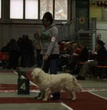 1_JuniorClassMales_SugarLoaf_Trastevere