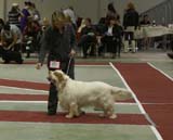 3_WorkingClassMales_Tage_c