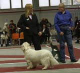 4_ChampionClassMales_Reno