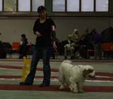 4_ChampionClassMales_Rocky