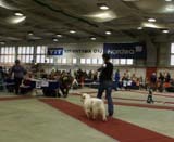 4_ChampionClassMales_Rocky_c