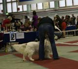 4_ChampionClassMales_Rocky_e