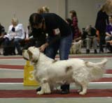 4_ChampionClassMales_Rocky_g