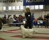 5_VeteranClassMales_Speedy_b