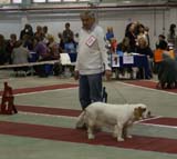 7_JuniorClassBitches_Bertta