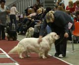 8_IntermediateClassBitches_Hilla