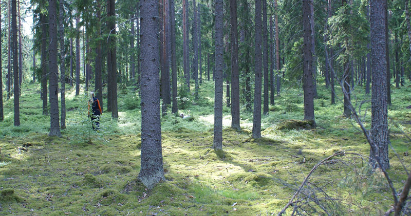 hunting_training_June2012_b_Hulda_a